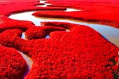 Red-Beach-China