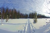 Тропёжка варианта лайт по Аранецким болотам. Фото Сергея Нилова.