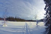 Тропёжка варианта лайт по Аранецким болотам. Фото Сергея Нилова.