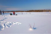 Загадочные круги на болотах. Фото Андрея Подкорытова.
