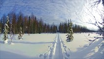 Тропёжка варианта лайт по Аранецким болотам. Фото Сергея Нилова.