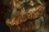 KOS_4576