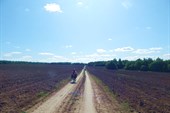 Дорога