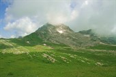 IMG_7209