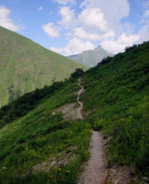 Тропы, которые мы выбираем