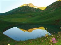 В долине Дзитаку (Кавказ)