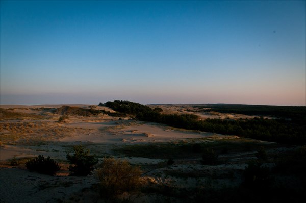 Дюна Ореховая (высота Эфа) с видом на Куршский залив