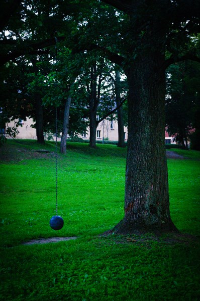 Странные шары на деревьях в Яунпилсе.