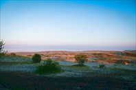 Дюна Ореховая (высота Эфа) с видом на Куршский залив