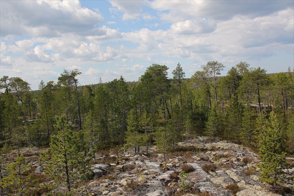 Красоты вдоль дороги от Белого моря к Амбарному