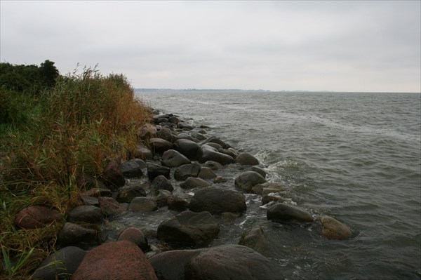 берег Калининградского залива