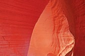 IMG_7294w