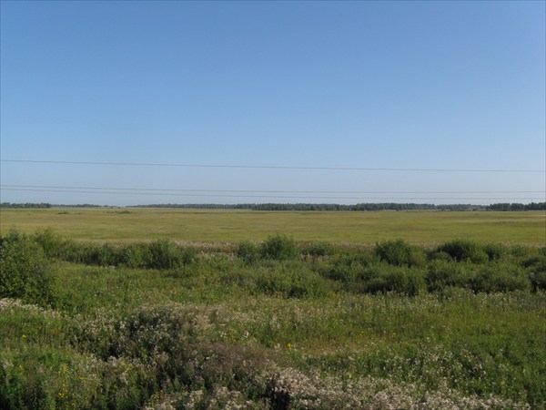 Степи Западно-Сибирской равнины.