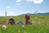 IMG_0583