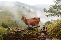 Nepal114_IMG_0114