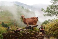 Nepal114_IMG_0114