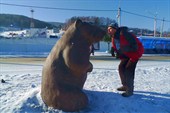Нос к носу... или разговор с глазу на глаз)