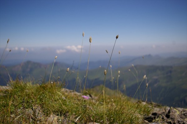 IMGP4848