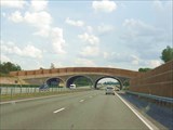 Дорога на Тарту.
