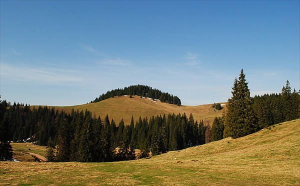 varaisova_3
