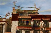 IMG_6059_5