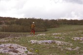 IMG_0620