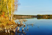 Берег.Вода поднялась.