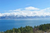 IMG_5631