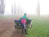 Йожык в тумане