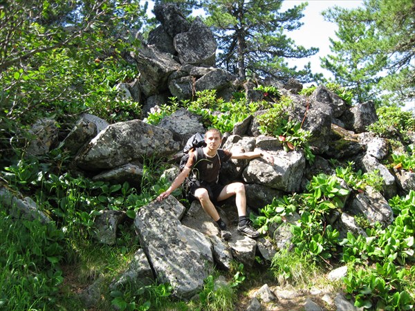 САНЯ+КАМНИ+КЕДРЫ+КАШКАРА(рододендрон золотистый_