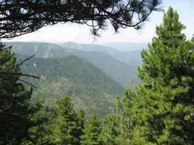 Мы скоро будем выше этих гор.