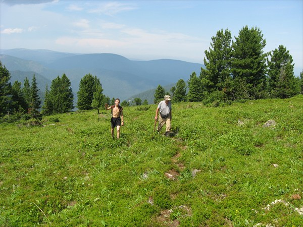 Альпийская зона-царство кашкары.