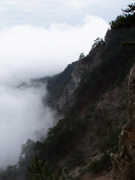 28_resize