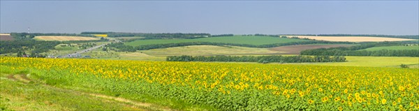 Подъезжая к Ростову  на Дону