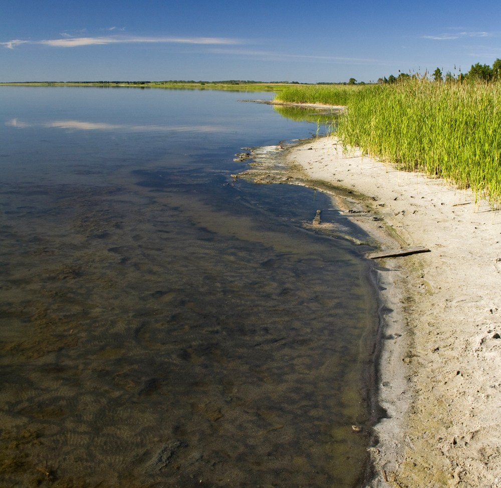 Курган озеро медвежье