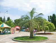 Парк-Парк культуры и отдыха