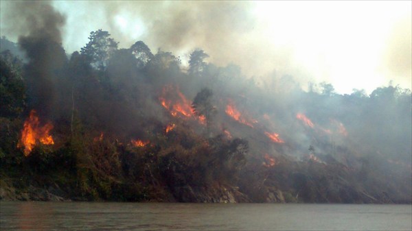 Река Каменг (пожар в джунглях)