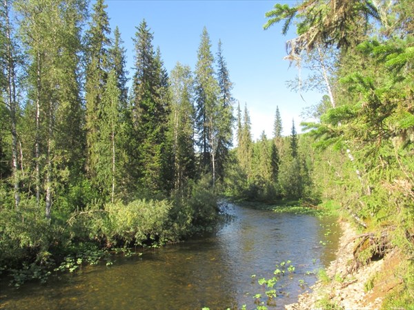 Верховья реки...