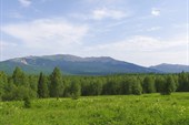 Нургуш