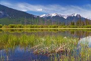 Vermilion lakes