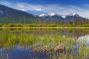 Vermilion lakes