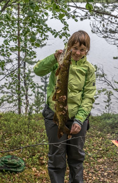Щука из озера придорожное