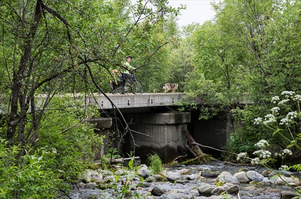 Бетонный мост бывшей железной дороги