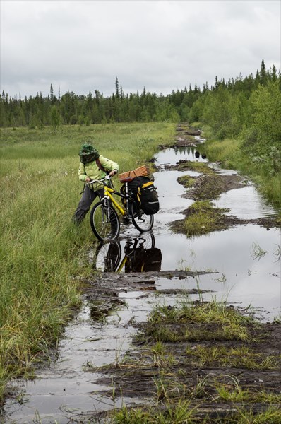 Лежнёвки-лужнёвки