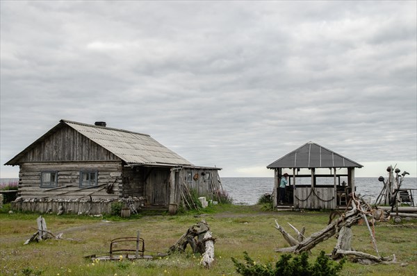 Тоня Тетрина