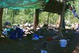 `Милый` бардак (после сутчного дождя)