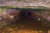 DSCF0761