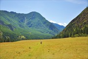 Катуньская тропа перед р. Казнахта