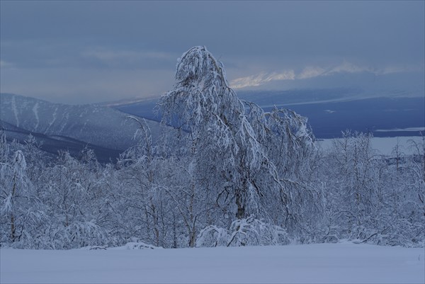 вид на реку Камчатку и пос. Ключи