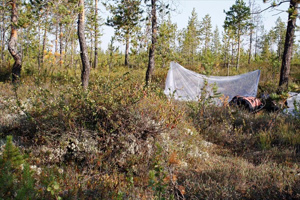 Стоянка в лесотундре